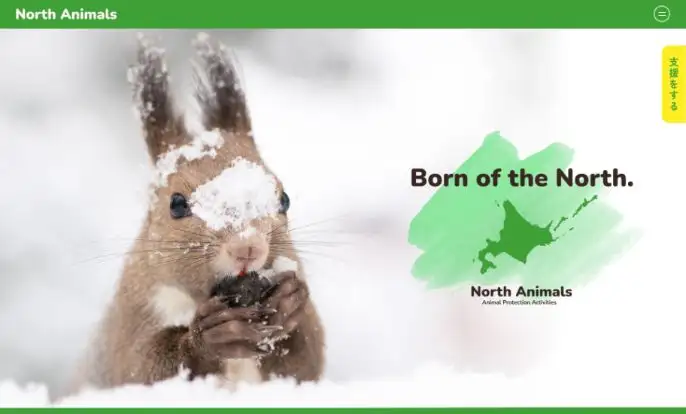 North Animalsのサムネ