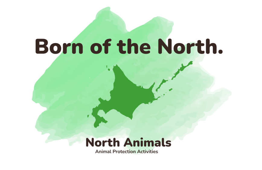 キャッチコピー